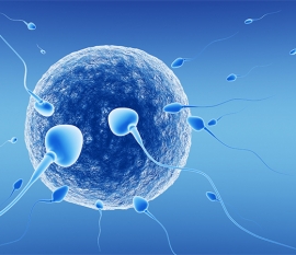 孕吐严重的人说明什么 与上海捐卵宝宝的性别有关吗