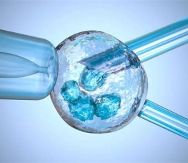 让上海捐卵宝宝学会原谅他人